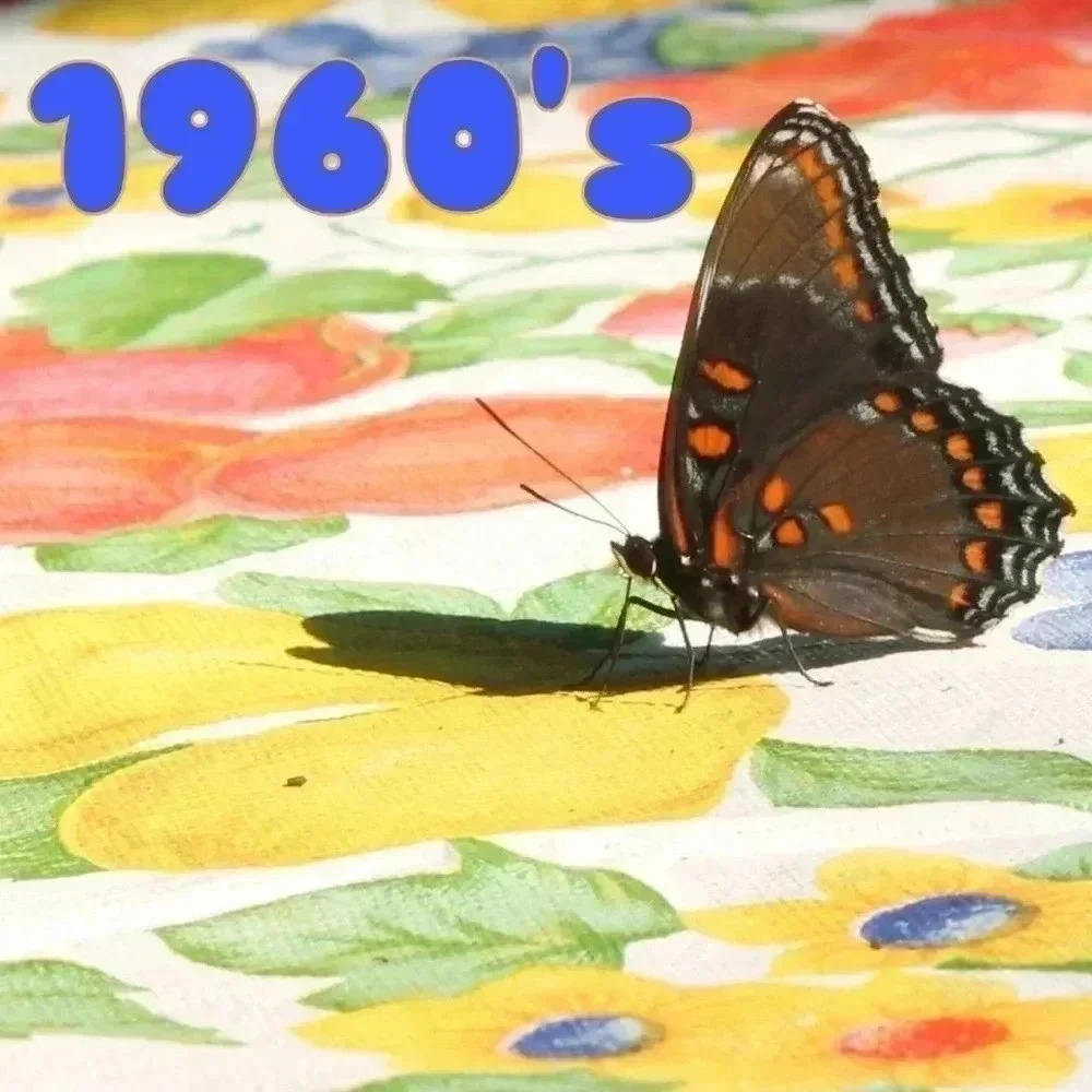 We have 1960's
